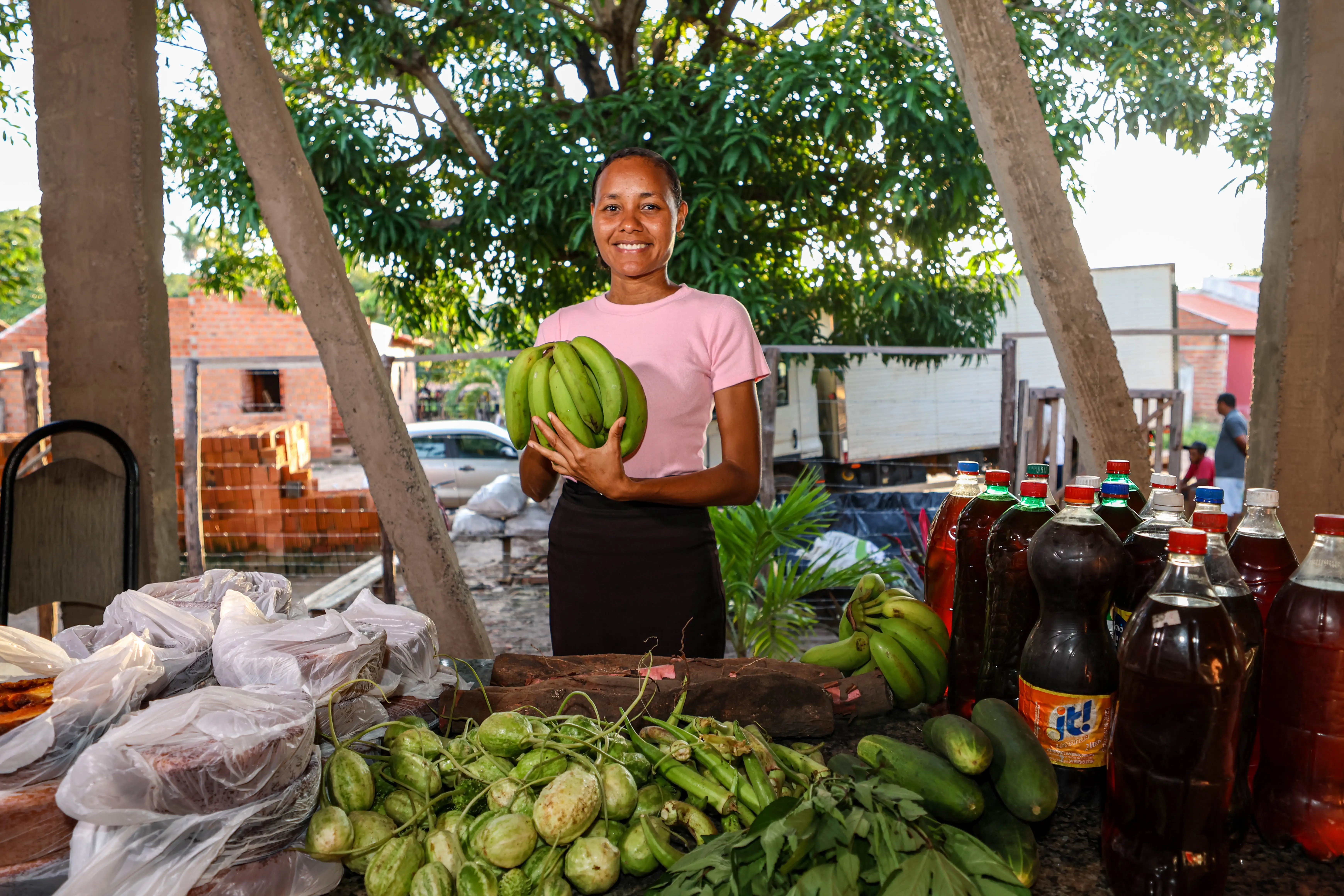 Galeria de imagens - Foto 6 da notícia: PAA Quilombola fortalece agricultura familiar e garante alimento para famílias em Matões
